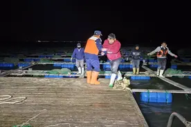 青岛故事特别策划｜循着十二时辰的轨迹，致敬“最美劳动者”图片