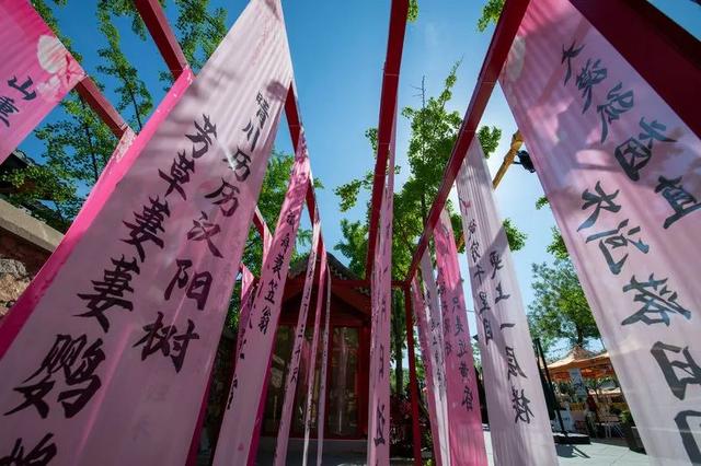 海淀这场 “穿越” 太上头