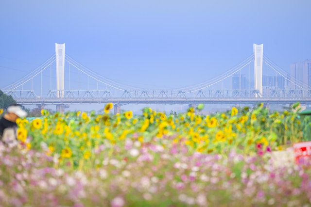 江西的美，不止“风花雪月”！