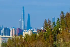 南区开园后首个春节，上海世博文化公园8天接待逾26万人图片