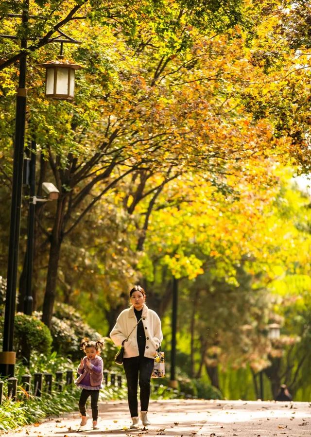 秋风引路入曲江，芙蓉金叶映红墙