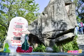 新年迎好“运”！登高白云山，开启2025全运年图片