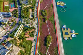 深耕“蓝色国土”，看全国首个海洋开发区的流程再造图片