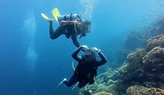 紫牛热点｜网传一潜水员水下关闭他人气瓶？国际专业潜水教练协会回应：正配合有关部门调查核实