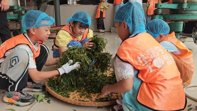 跨越山川“邂逅”耿马 开启研学“探秘”之旅