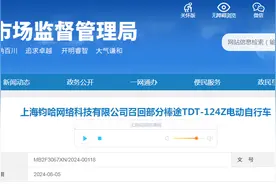 上海钧哈网络科技有限公司召回部分棒途TDT-124Z电动自行车图片