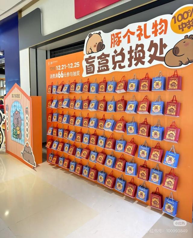 国庆游翔安丨卡皮巴拉、羊驼…与萌宠为伴，嗨翻假期