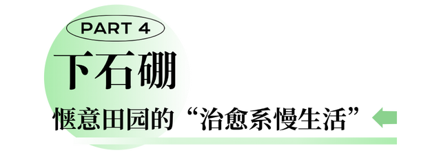 乳山天然氧吧四重奏，走进现实版“绿野仙踪”！