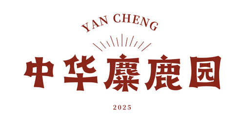 十一盐城玩法解锁！8天不重样！
