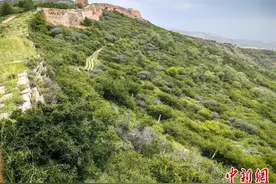 （文化新纪行）内蒙古长城保护的移动界碑：人、马、驼图片