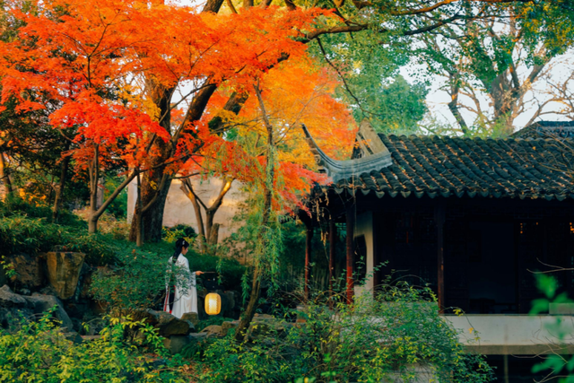 苏州的秋天，给你点“颜色”看看！