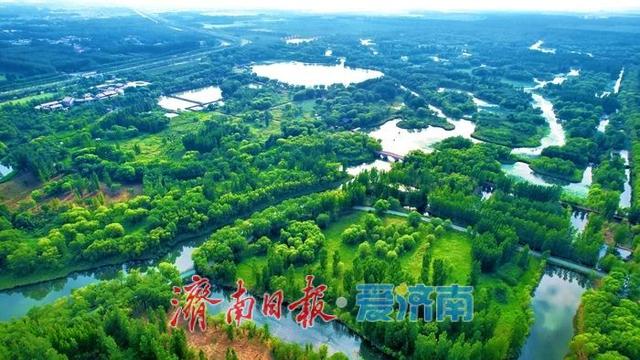 一年四季 泉在济南丨初秋画卷徐徐展开，济西湿地引客来