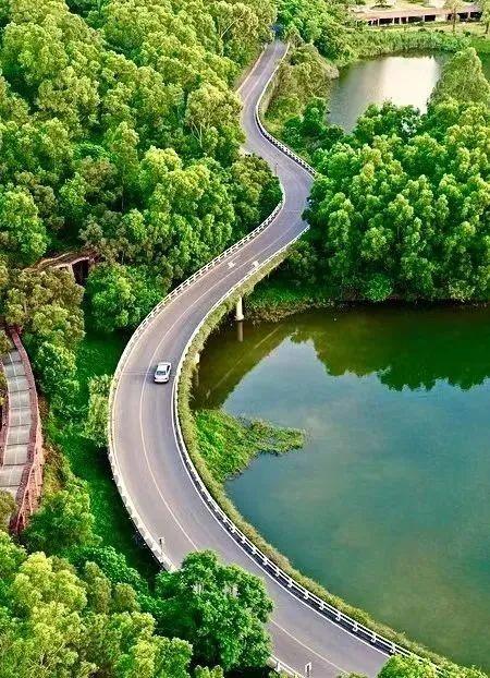 多位外籍网红博主“打卡”阳江