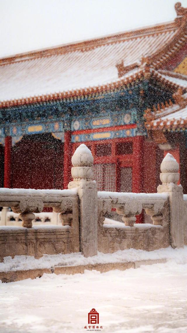 故宫雪景上新！来看鹅毛大雪里的金瓦红墙