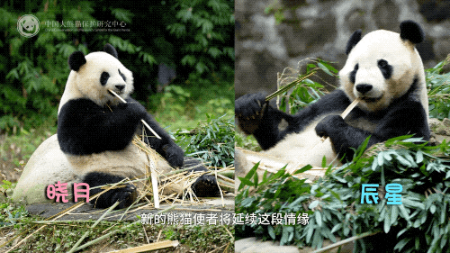 早安！世界丨中方：日本没资格当安理会常任理事国；中方回应中日官员磋商：当然不满意！