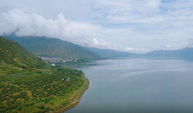 科技加持，让程海湖水生态环境稳中向好