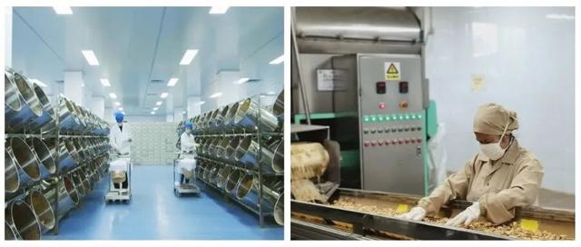 连休5天！秋假来里水边玩边学！