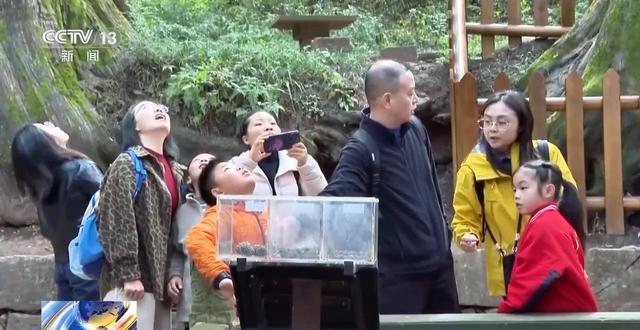 央媒看四川丨跟着课本去旅行 行走蜀道，感受古今交通变迁