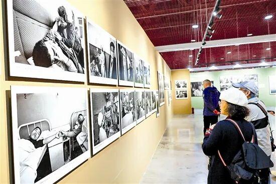 崤函正春风┃文化三门峡——文脉赓续焕新辉