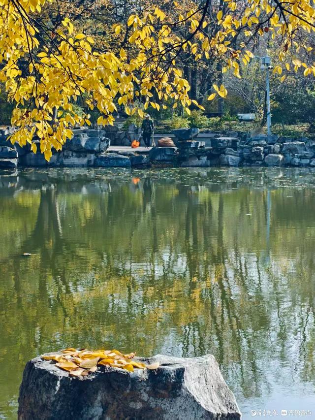 秋高气爽，金色泉城公园
