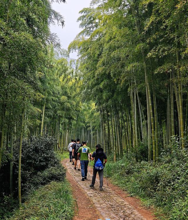 跟着总评榜游浙里丨湖州长兴归心民宿
