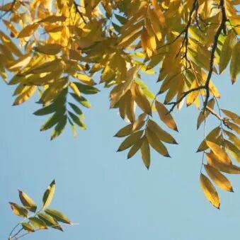 别再等！宝山这里已把秋日色阶拉满