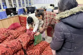 热心居民向社区捐赠1000公斤胡萝卜图片