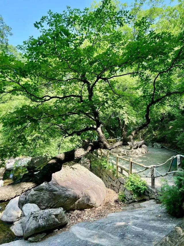暑假倒计时！抓住夏天的小尾巴，现在出发~