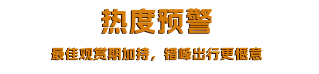 栖霞山人气爆棚，红叶超长待机！@友友们，错峰更有乐趣哦~
