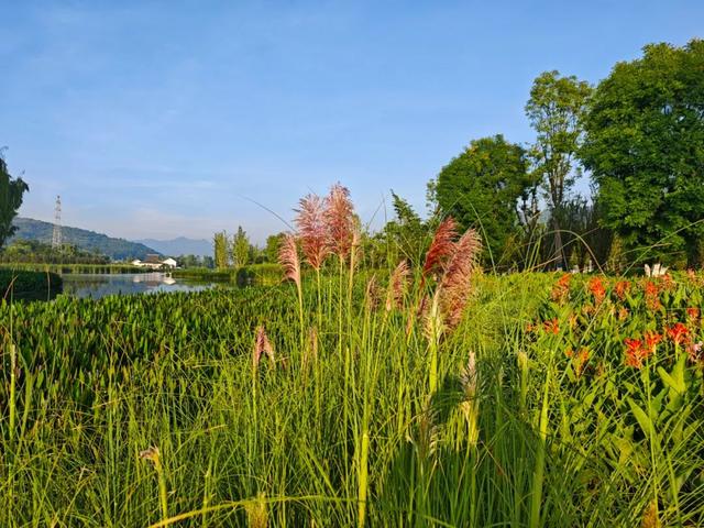 千年银都的清凉转身：鲁甸如何以“19.9℃的夏天”书写文旅新篇？