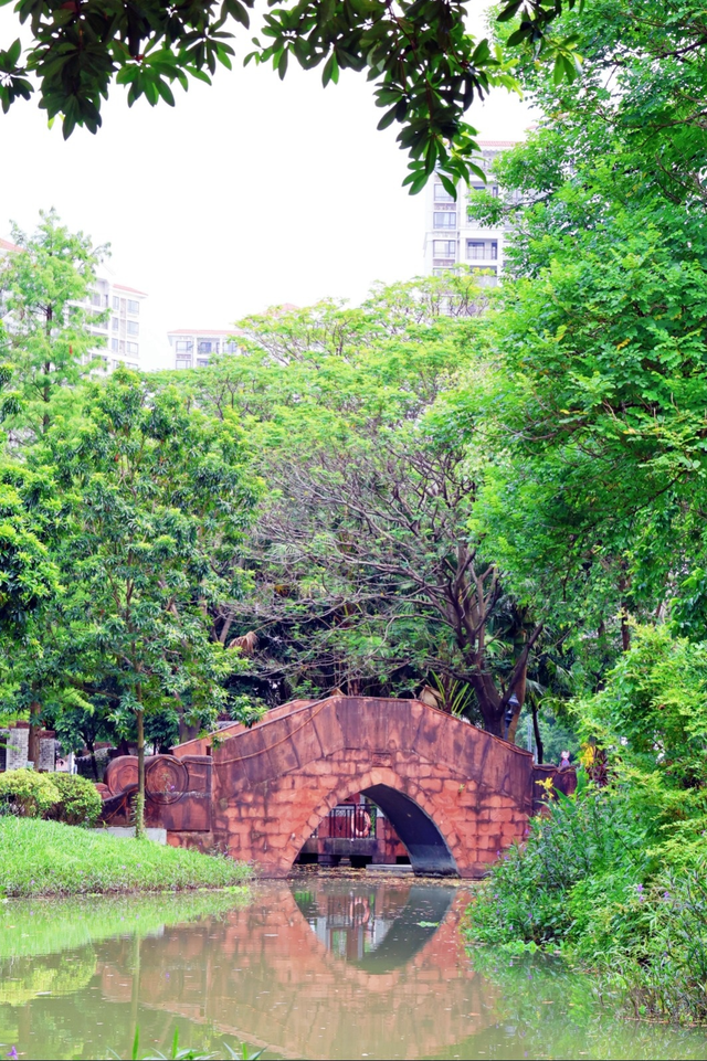 萌物来袭，“喜洋洋”和“乐融融”玩转望牛墩！