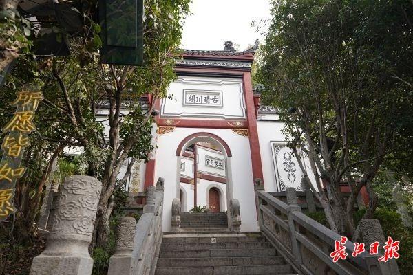 再登晴川阁，望江赏樱花