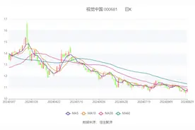 视觉中国：2024年上半年净利润同比下降44.04% 拟10派0.08元图片