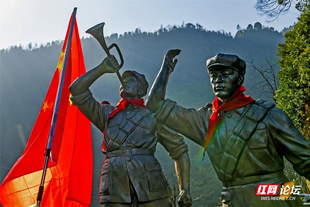 从“十八拐”到齐眉界，一条森林公园里的红色风景线