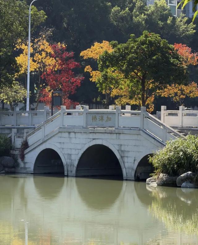 没想到，冬日的黎明湖公园这么美！