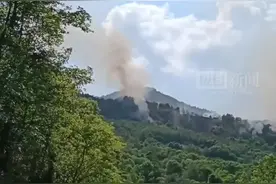 重庆沙坪坝突发山火，有直升机参与救援，当地：已扑灭，未造成人员伤亡图片