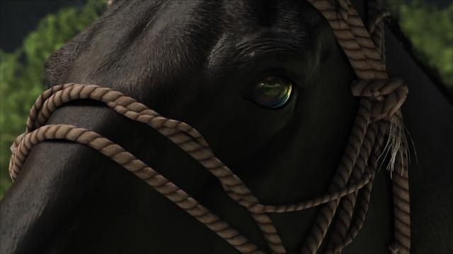PS5版《羊蹄山之魂》游戏照片模式详解：16机位追踪+动态粒子系统