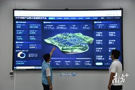 会养鸽变“慧”养鸽！数智赋能养殖，“兴宁鸽”尽显“科技范儿”图片