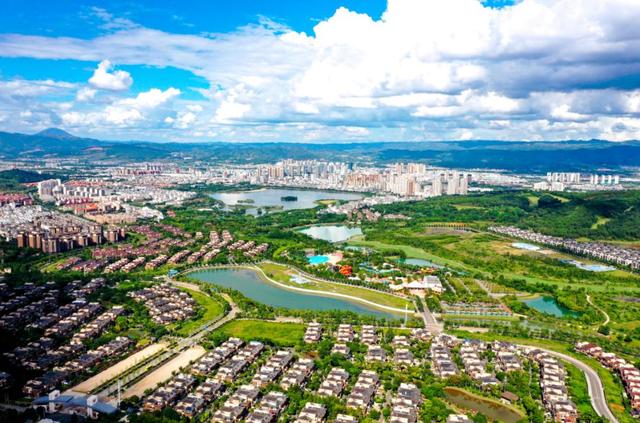 海鸥为何奔赴弥勒？原因找到了...