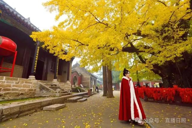 大胆预测！这个周末，日照这里将要爆满！