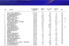 2023年中国连锁TOP100发布图片