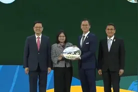 新一对赠港大熊猫正式命名为“安安”“可可”，明日与公众见面图片