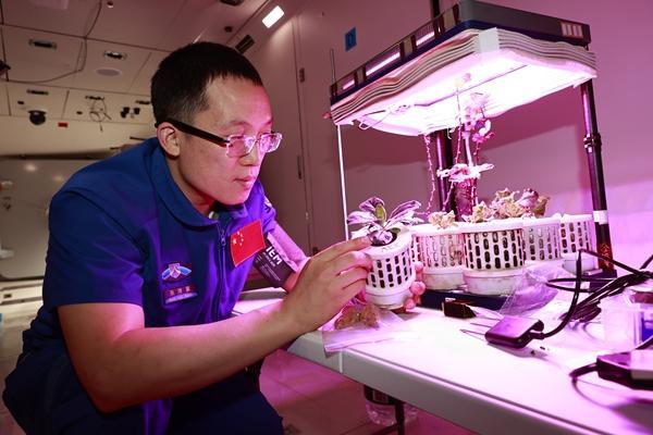 做国家需要的事，做国家需要的人