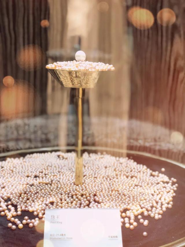 玩转西施跨年音乐节！吃喝玩乐，收藏这篇就够了→