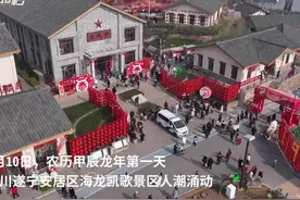 30秒｜人从众𠈌 大年初一7万游客到遂宁安居海龙村游玩图片