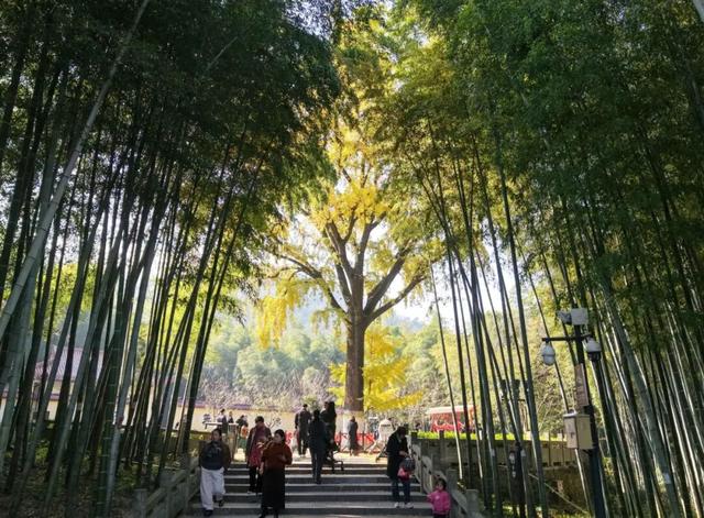 刷屏了巢湖这里，美了600年