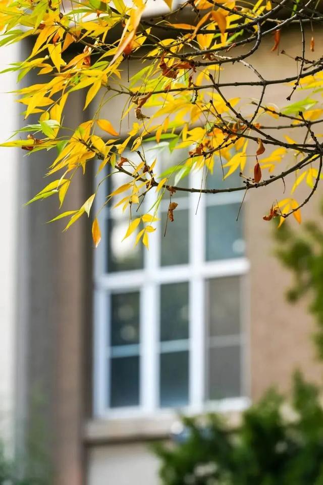 推开南开的窗，你会看到——