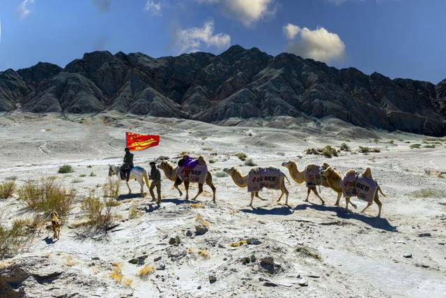 二十余人、33峰骆驼从新疆重走丝路2700公里到洛阳！河南网友“菜谱投喂”暖哭驼队