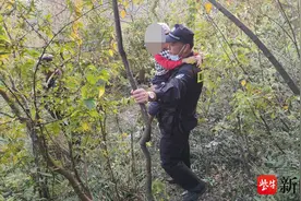 妈妈满足儿子探险欲爬野道被困绝壁，民警消防紧急救援图片