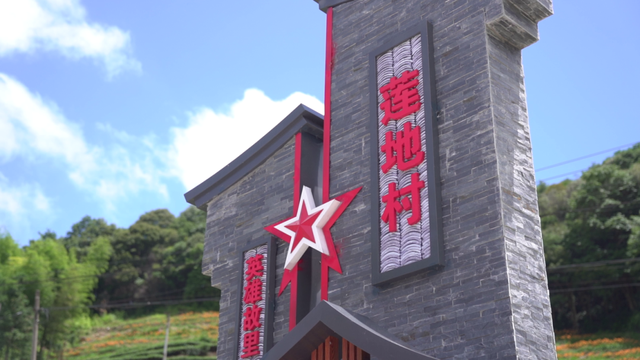 爆款花海上线！刷到就出发！一起闯进如梦似幻的萱草花海~